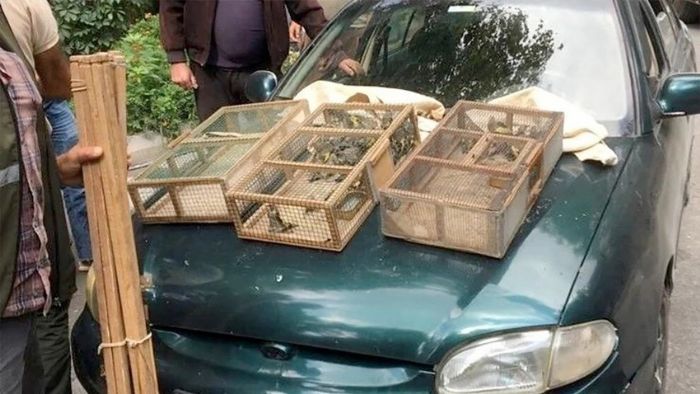 Saka kuu avlayan 2 kiiye 73 bin TL ceza