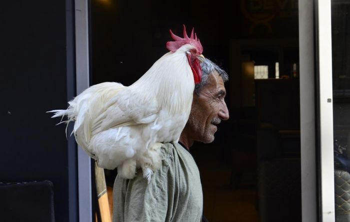 Gren dnp bir daha bakyor