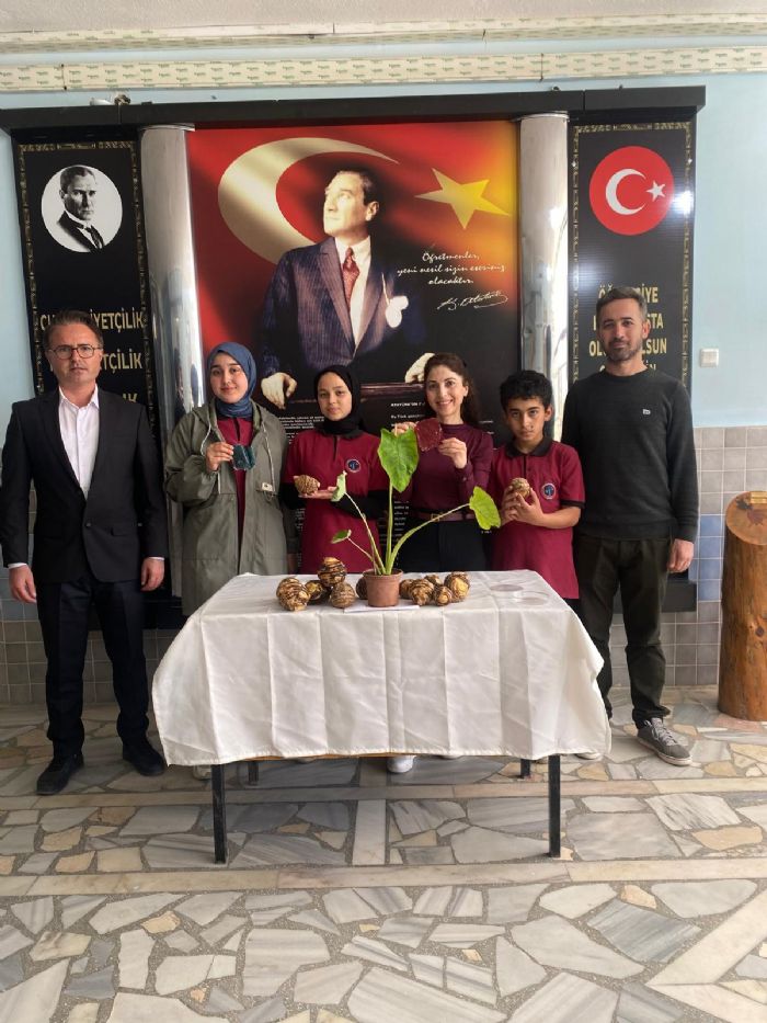 Tekmen Ortaokulu TBTAK baarlarna bir yenisini daha ekledi