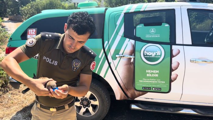 Scaktan lmek zere olan kerkenezi polis hayata dndrd